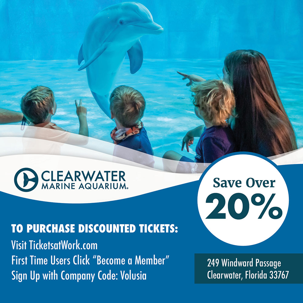 Clearwater Marine Aquarium - click to view offer