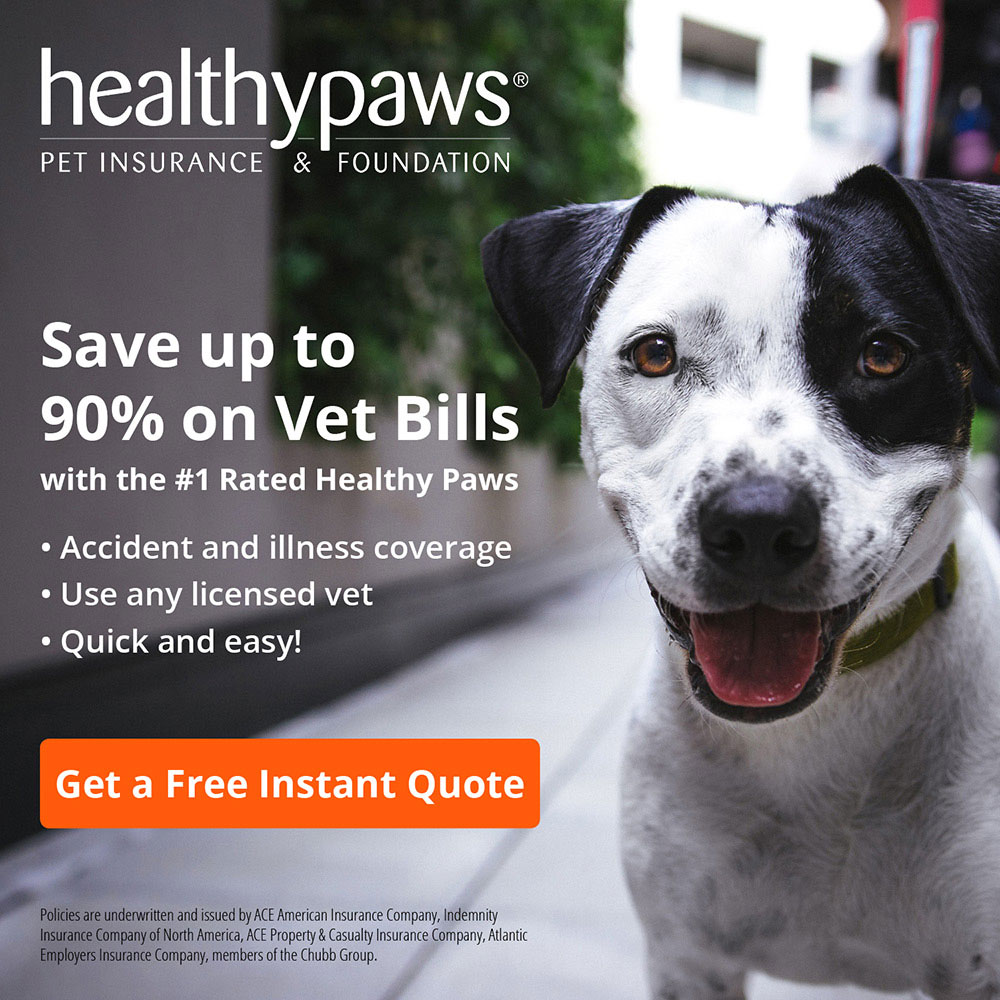 Healthy Paws - Save up to 90% on Vet Bills
with the #1 Rated Healthy Paws
 Accident and illness coverage
 Use any licensed vet
 Quick and easy!
Get a Free Instant Quote
Policies are underwritten and issued by ACE American Insurance Company, Indemnity Insurance Company of North America, ACE Property & Casualty Insurance Company, Atlantic Employers Insurance Company, members of the Chubb Group.