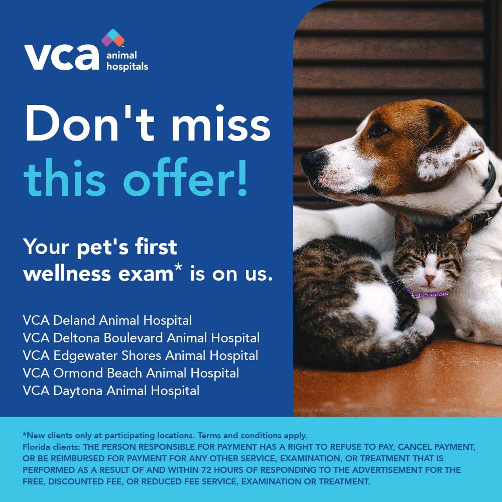 VCA Animal Hospitals